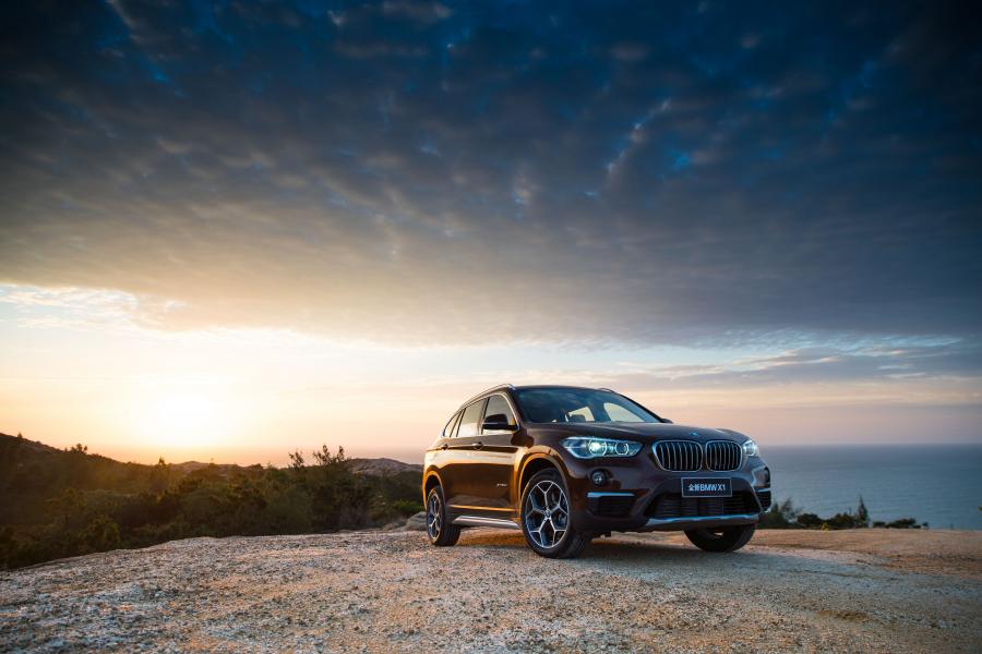 BMW X1 xDrive25Li xLine 2016 года  (фото 6 из 39)